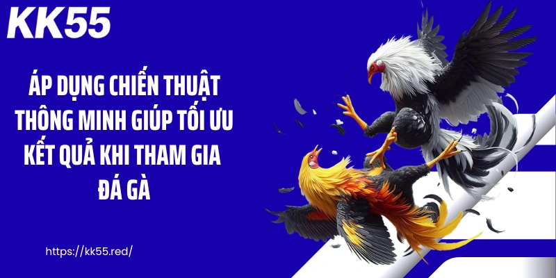 Áp dụng chiến thuật thông minh giúp tối ưu kết quả khi tham gia đá gà